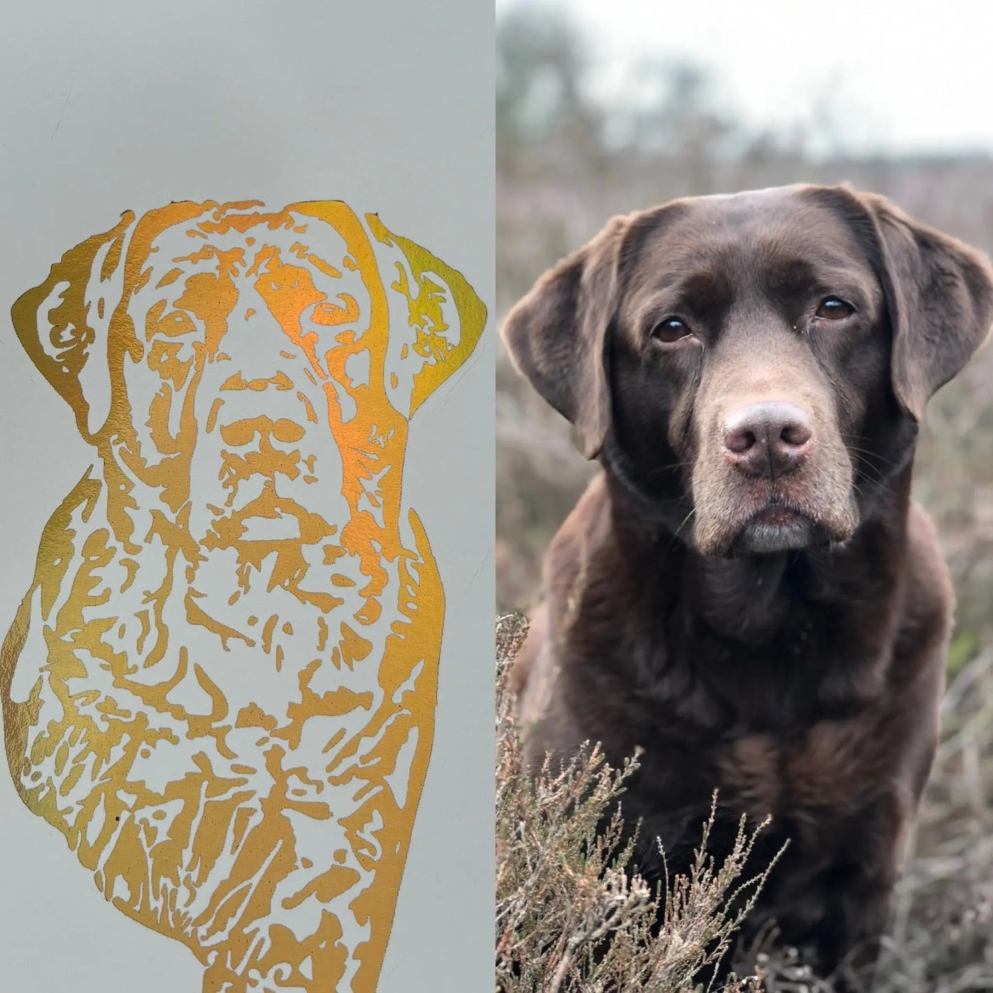 Fotomagie - Medium Golden Prints & Paws