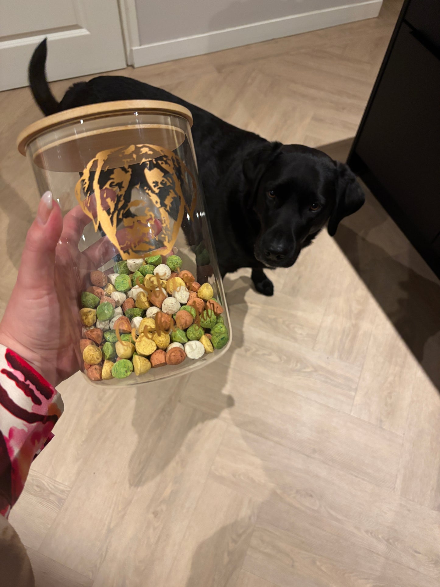 Koekjespot
