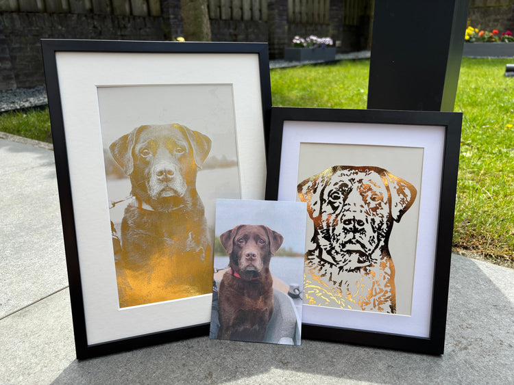 Fotomagie Golden Prints & Paws