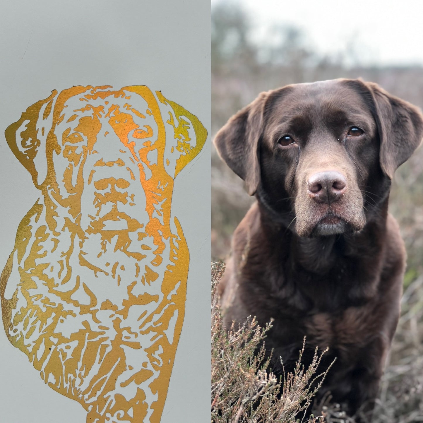 Fotomagie - Groot