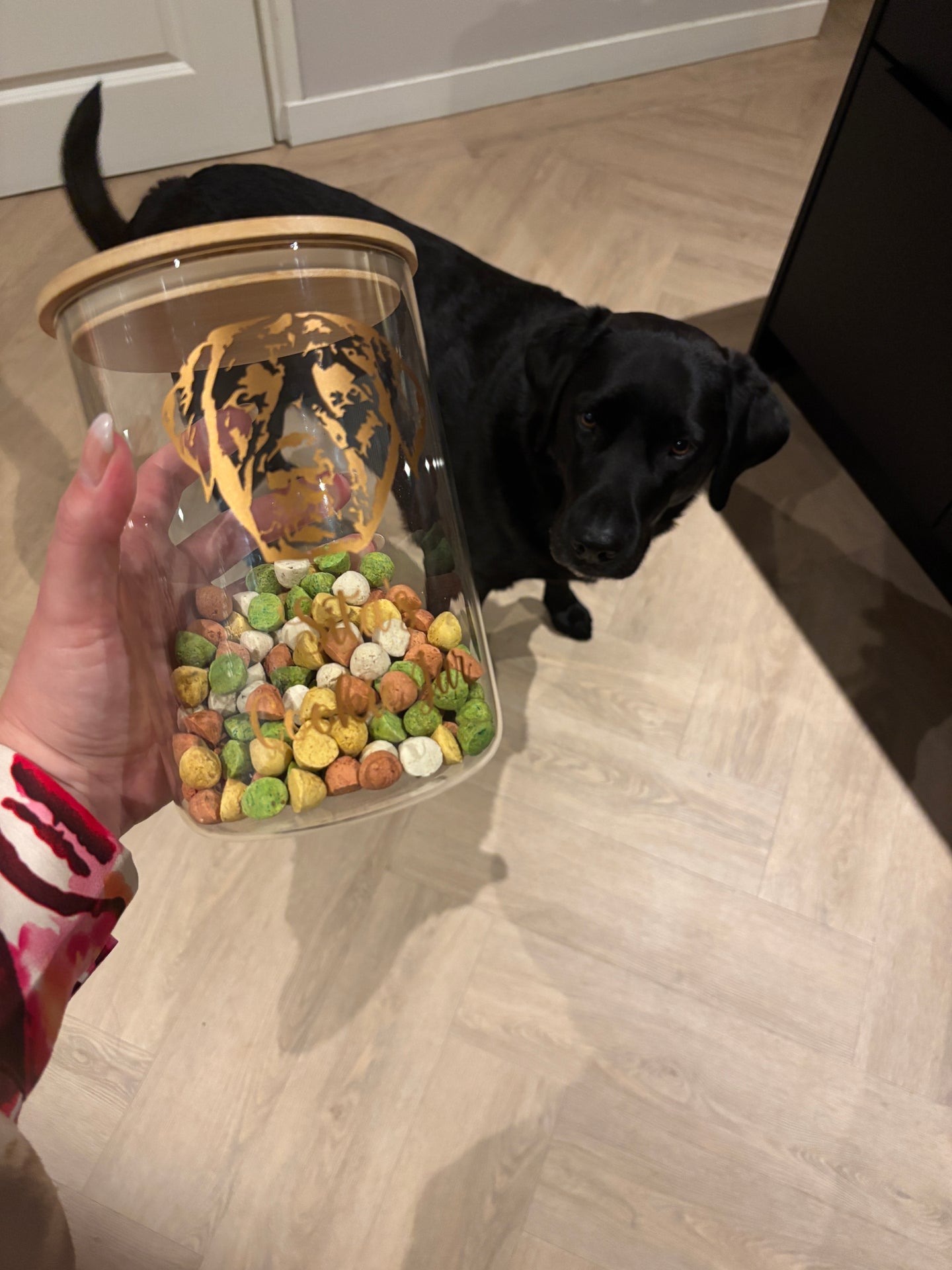 Koekjespot